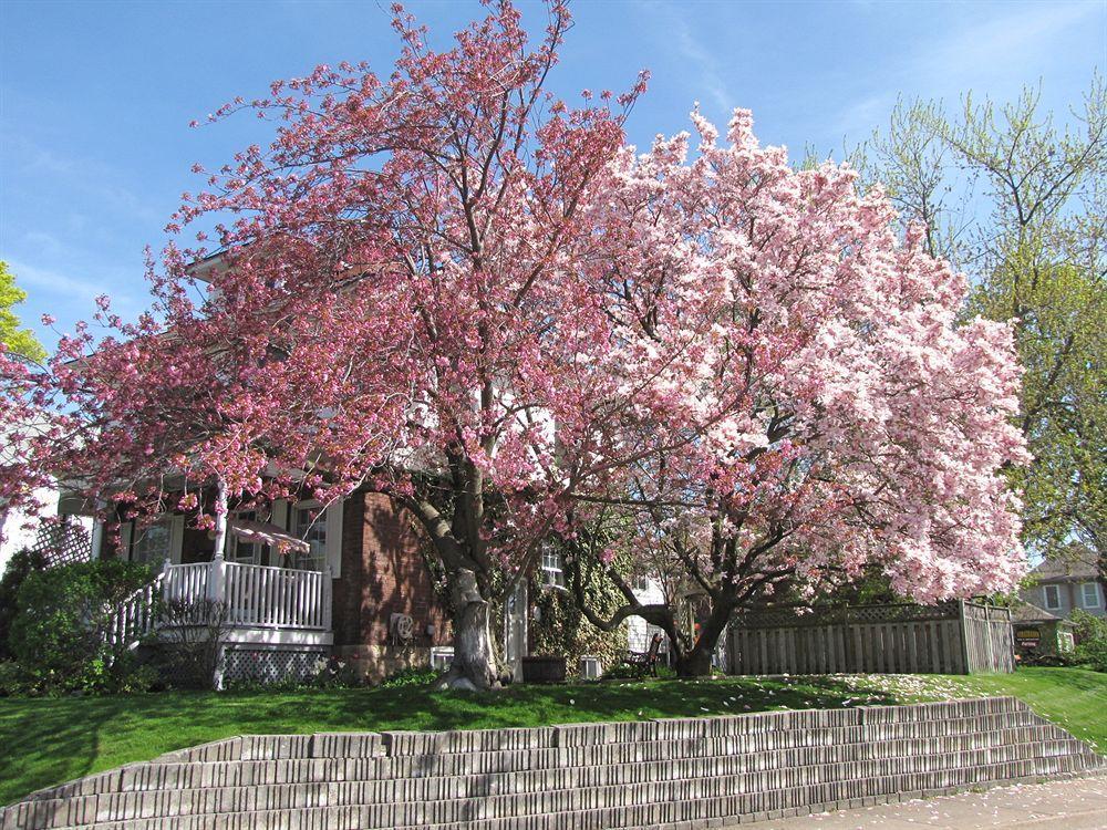 Strathaird Bed And Breakfast Niagara Falls Eksteriør billede